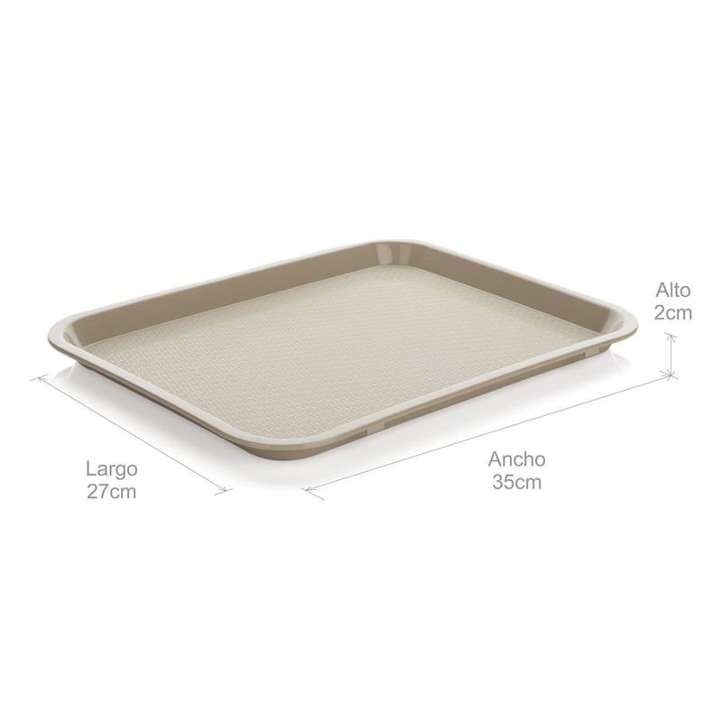 Bandeja-pequeña-de-27-x-35-cm-para-autoservicios