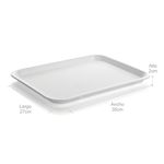 Bandeja-pequeña-de-27-x-35-cm-para-autoservicios