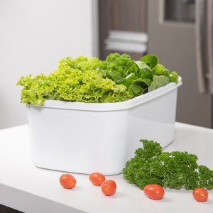 Recipiente Plastico Rectangular para congelacion 8L blanco