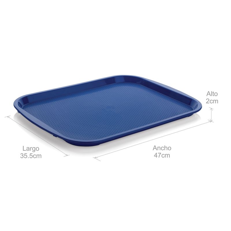 Bandeja plástica rectangular grande col surtido - Tiendas Jumbo