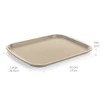 Bandeja Plastica Autoservicios Grande Roja de 35.5 x 47 cm - Tienda online  Estra