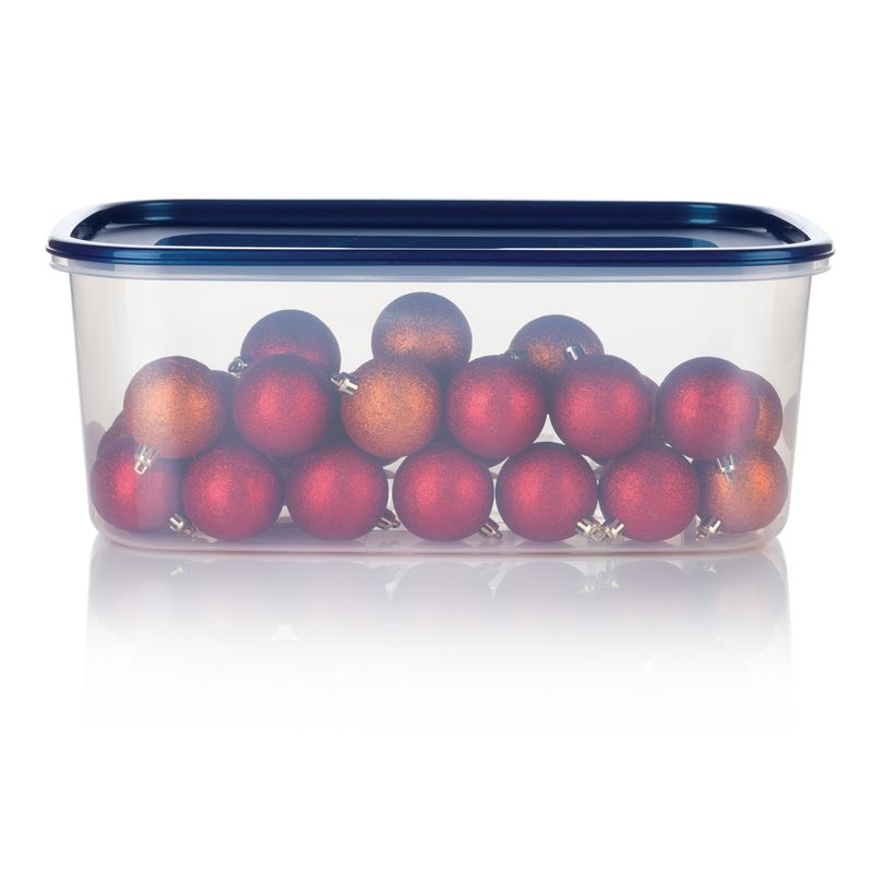 Caja-Organizadora-Plus-8L