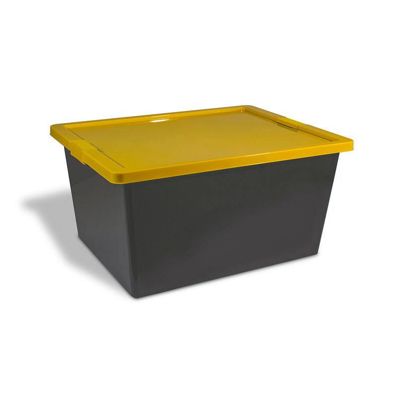 Caja organizadora de plástico con tapa, broches y ruedas 55 L - Tienda  online Estra