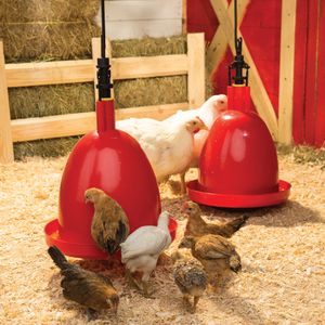 Bebedero plástico automático doble para pollos y gallinas rojo