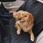 4-1051918_Funda_ParaAsiento_Auto_mascotas_3